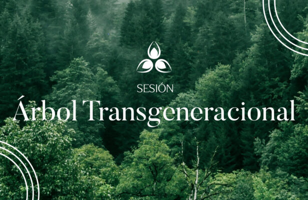 Árbol Transgeneracional Madrid
