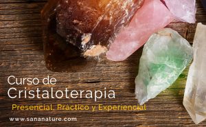 Curso de Gemoterapia en Madrid