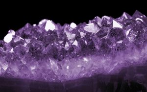 Curso de Gemoterapia Online