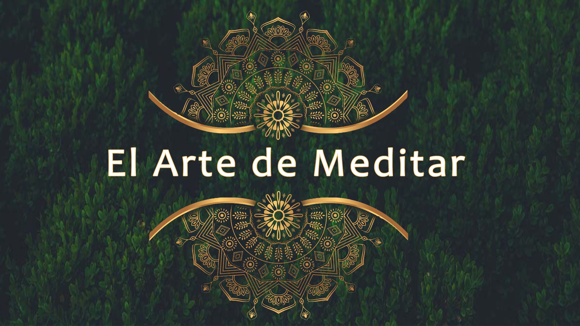 Cursos de Meditación Online