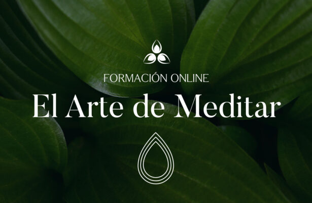 Curso de Meditación Online