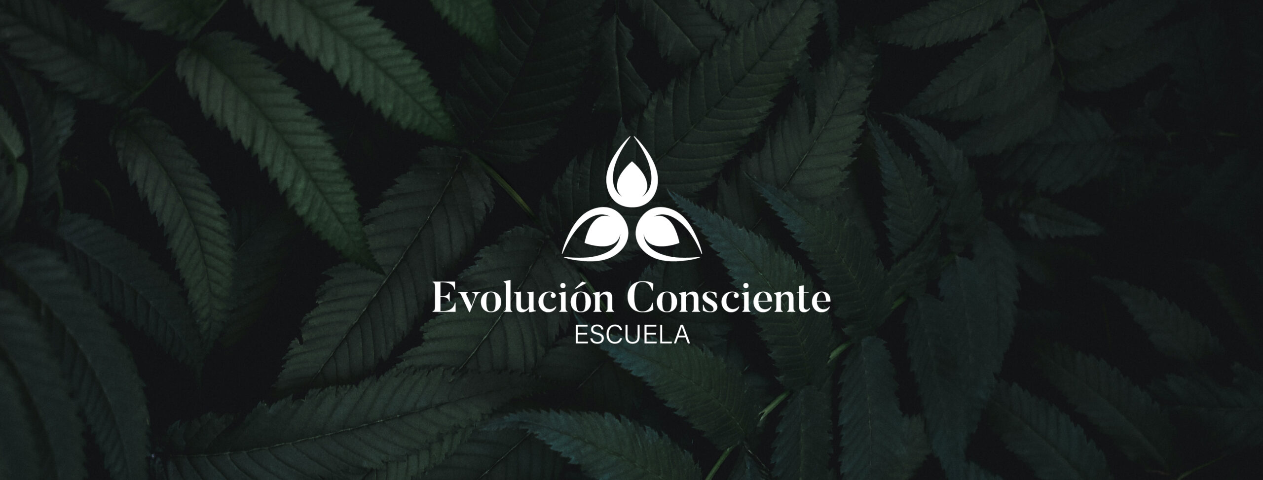 Banner Escuela Evolucion Consciente Movil