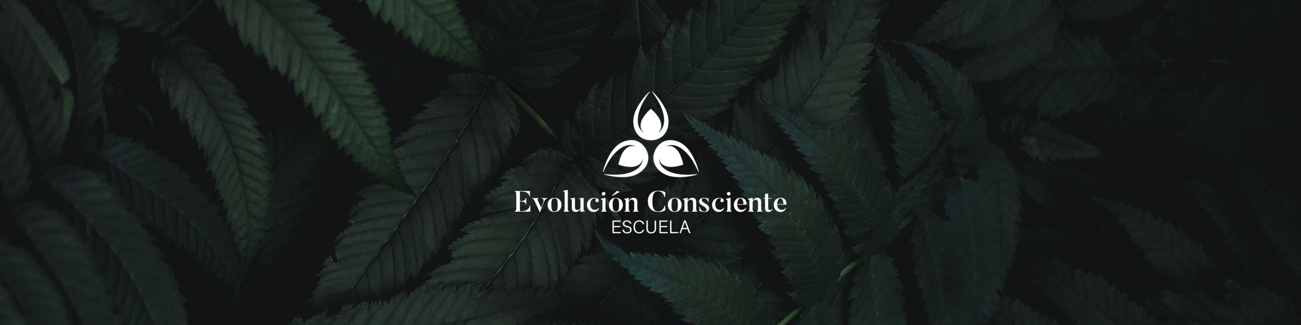 Banner Escuela Evolucion Consciente