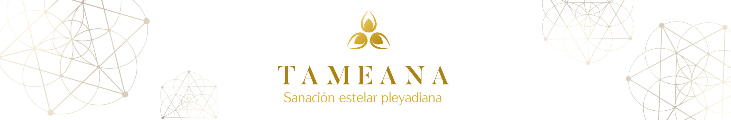 Curso de Tameana en Madrid