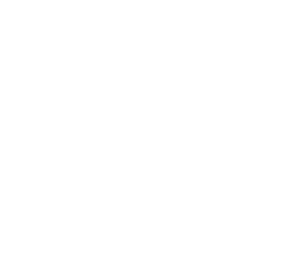 Escuela Evolución Consciente