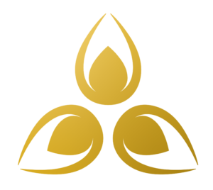 Escuela Evolución Consciente