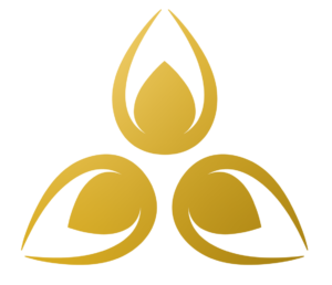 Escuela Evolución Consciente